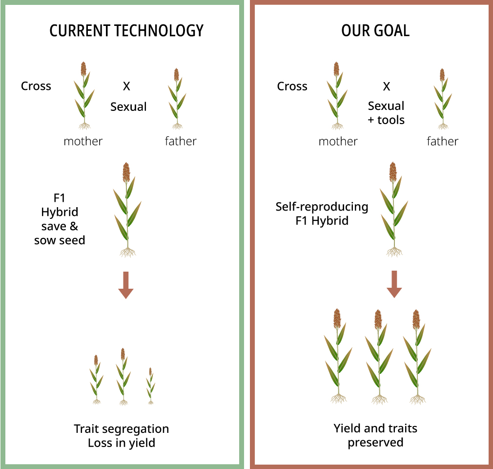 Current Technology vs Our Goal