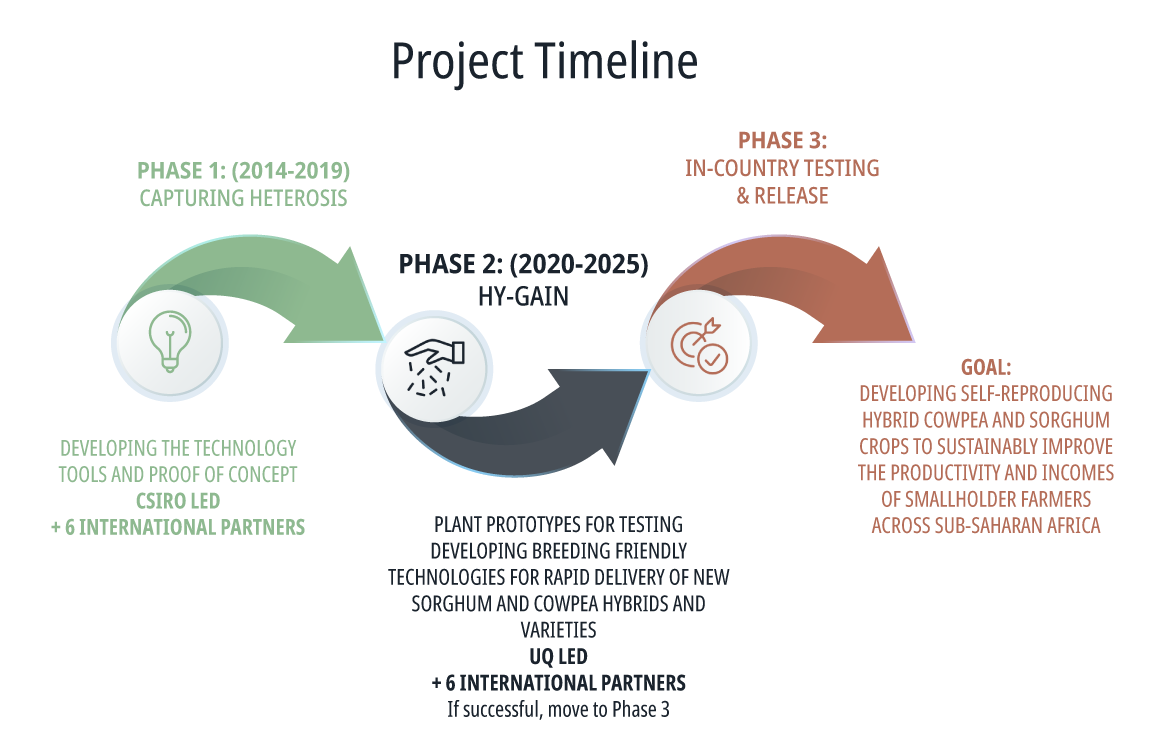 Project Timeline